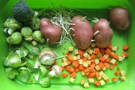 Sensory Bin For Preschoolers, Toddler Vegetables, Hyperemesis Gravidarum, Sensory Tubs, Photo Scavenger Hunt, Sensory Ideas, Early Learning Activities, Diced Carrots, Best Toys