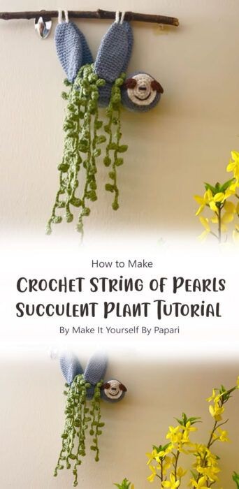 Best Succulent String of Pearls Free Crochet Pattern Ideas - Carolinamontoni.com Crochet String Of Pearls, Crochet Succulent, String Of Pearls, Pattern Ideas, Succulent Plant, Easy Projects, Planting Succulents, Easy Crochet, Plant Hanger