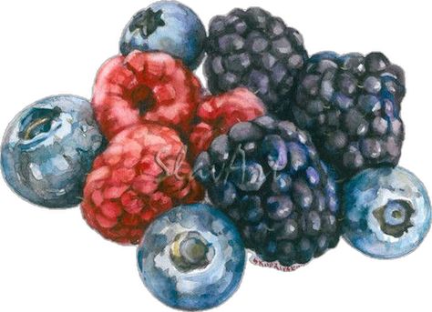 Watercolour Berries, Berries Drawing, Realistic Kitchen, Berries Watercolor, Painting Fruit, Forest Fruits, Fruit Wall Art, Food Artwork, Painting Fine Art