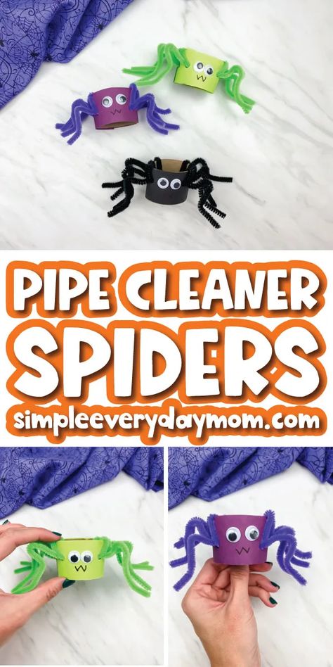 Monster Toilet Paper Roll Craft, Pipe Cleaner Spiders For Kids, Pipe Cleaner Fall Crafts, Autumn Homeschool, Fun Easy Halloween Crafts, Halloween Toilet Paper Roll Crafts, Spider Party, Mini Beasts, Kids Toilet