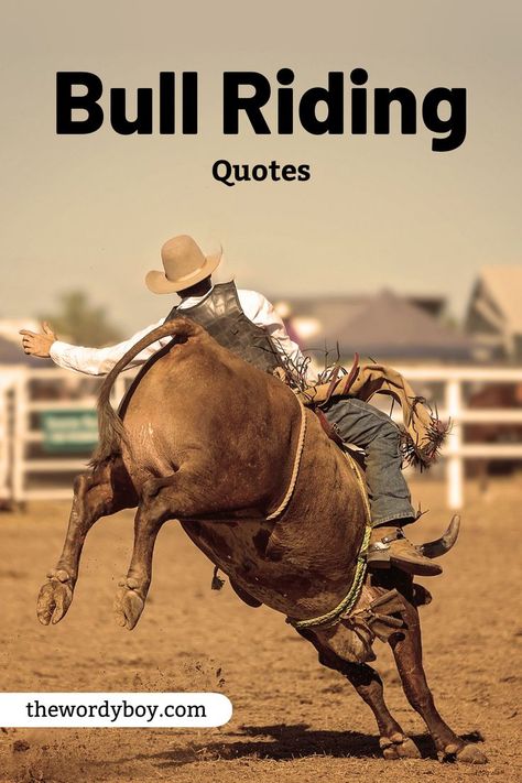 Bull Riding Quotes 
Bull Riding Sayings Bull Rider Quotes, Bullriding Quotes, Bull Riding Aesthetic, Bull Riding Quotes, Roping Quotes, Prca Rodeo, Bull Quotes, Pbr Bull Riders, Rider Quotes