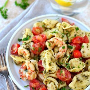 Salad With Shrimp Recipes, Shrimp Tortellini Salad, Shrimp Tortellini, Salad With Shrimp, Pesto Shrimp, Pasta Salad With Tortellini, Tortellini Recipes, Tortellini Pasta, Tortellini Salad