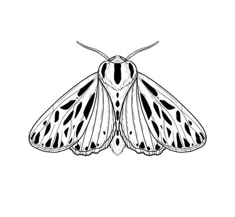 Moth Outline, Moth Drawing, Floral Tattoo Shoulder, Cool Chest Tattoos, Getting A Tattoo, Moth Tattoo, Full Sleeve Tattoos, Butterfly Tattoo Designs, Minimalist Tattoos