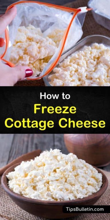 How to Freeze Cottage Cheese - Freezing Tips and Recipes Freezing cottage cheese is possible, but it will change the taste and texture once thawed. To prevent your thawed cottage cheese from drying out you can add about a tablespoon of sour cream for each cup of cottage cheese. #cottagecheese #freezing #frozen Can You Freeze Cottage Cheese, Freeze Cottage Cheese, Freezing Cheese, Dry Cottage Cheese, Freezer Prep, Homemade Cottage Cheese, Queso Cottage, Diy Cheese, Lemon Cheese