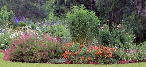 Thinking of native wildflower gardens as habitat is a new mindset whose time has come. Learn how to make the transition for the sake of wildlife. Flowers Native To Florida, Native Garden Northeast, Native Florida Flowers, Native Meadowscaping, Florida Wildflowers, Wildflower Gardens, Native Plant Landscape, New Mindset, Florida Native Plants