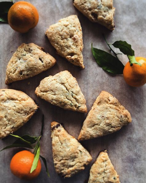 MARTHA MOMENTS: Martha's Dried-Apricot and Sage Scones Sage Scones, Dried Apricot, Scones Ingredients, Pastry Blender, Dried Apricots, Simple Recipe, Baking Sheet, Rolling Pin, Coffee Break