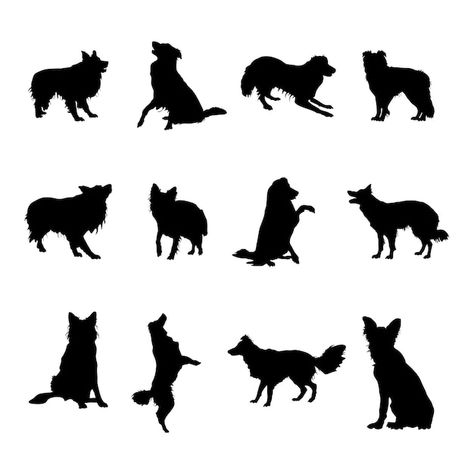 Dog Silloettes, Border Collie Outline, Border Collie Silhouette, Pet Silhouette, Dog Silhouettes, Shadow Tattoo, Silhouette Dog, Vector Border, Dog Icon