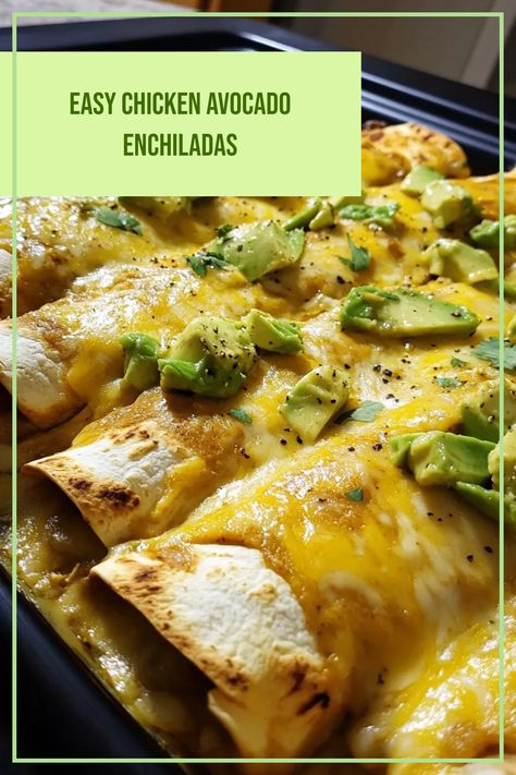 Delectable Chicken Avocado Enchiladas dish using soft tortillas wrapped with flavorful chicken and fresh avocado, perfect for an easy family dinner. Dishes With Avocado, Chicken Avocado Enchiladas, Avocado Enchiladas, Soft Tortillas, Avocado Chicken, Enchiladas Recipe, Fresh Salad, Enchilada Recipes, Chicken Avocado