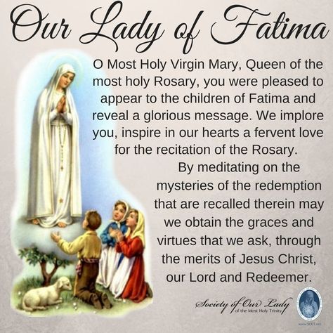 Rosary Images, The Most Holy Trinity, Fatima Prayer, Catholic Prayers Daily, Hail Holy Queen, Prayer For Mothers, Sunday Images, Catholic Pictures, Novena Prayers