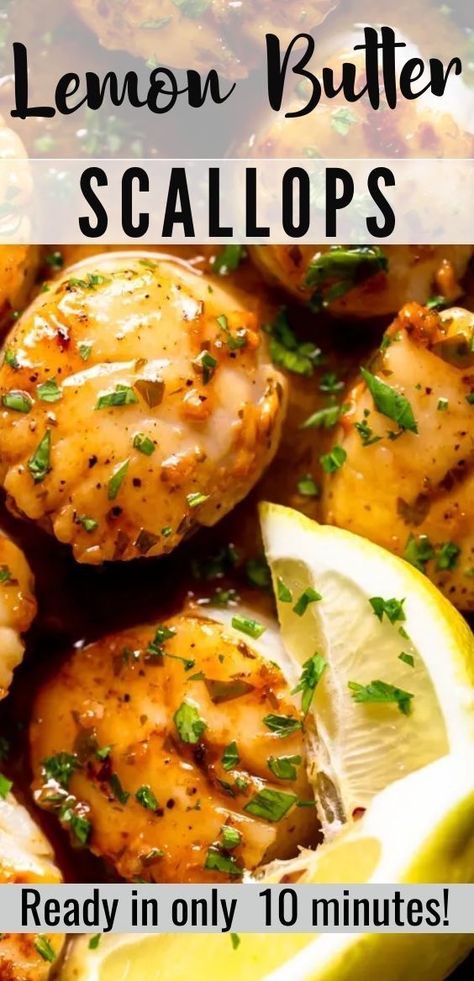 Lemon Butter Scallops Recipe, Lemon Butter Scallops, Butter Scallops, Seafood Recipes Scallops, Date Night At Home, Pan Seared Scallops, Fish Dinner Recipes, Seafood Entrees, Yummy Seafood