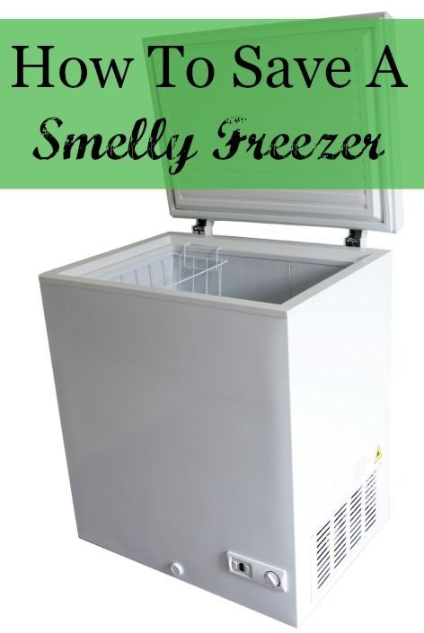 How To Clean Freezer, Rotten Food, Aquarium Supplies, Room Scents, Unfortunate Events, Upright Freezer, Chest Freezer, Dyi Projects, A Series Of Unfortunate Events