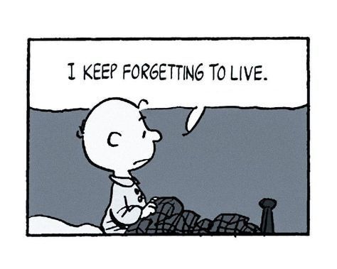 Don’t forget to live. August Vibes, August Quotes, Charlie Brown Quotes, Extracurricular Activities, Snoopy Quotes, Charlie Brown And Snoopy, Calvin And Hobbes, Pretty Words, Pretty Quotes