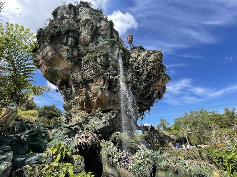 Animal Kingdom Rope Drop and Early Entry Strategy 2022 - Mouse Hacking Avatar Flight Of Passage, Disney Animal Kingdom Lodge, Animal Kingdom Lodge, Disney World Vacation Planning, Disney World Food, Time To Leave, Walt Disney World Vacations, Disney Planning, Disney World Vacation