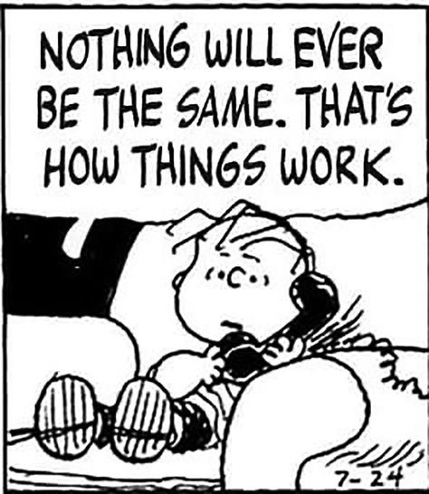 Peanuts Quotes, Charlie Brown Quotes, Social Work Humor, Woodstock Snoopy, Snoopy Comics, Cartoon Strip, Peanuts Cartoon, Snoopy Quotes, Charlie Brown And Snoopy