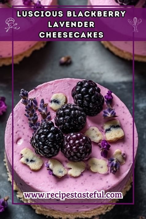 Delight in these creamy mini cheesecakes infused with culinary lavender and topped with a luscious blackberry sauce. Perfect for any occasion, these desserts are as beautiful as they are delicious. Lavender Cheesecake, Blackberry Lavender, Blackberry Sauce, Blackberry Recipes, Culinary Lavender, Mini Cheesecakes, Graham Cracker Crumbs, Graham Crackers, Blackberry