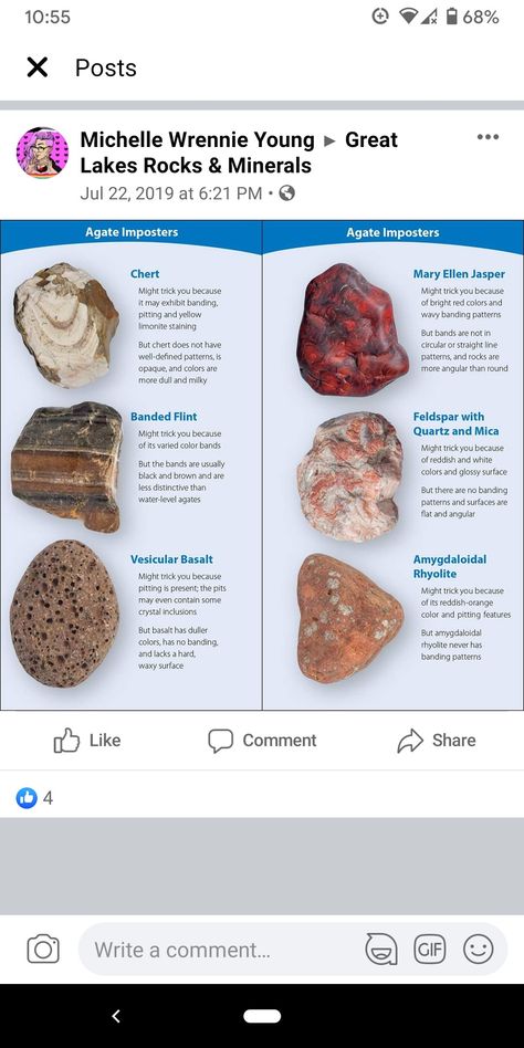 Rock Identification Pictures, Flint Rock, Geology Rocks Mineral, Michigan Rocks, Mineral Identification, Rock Identification, Rock Collecting, Rock Tumbling, Geode Rocks