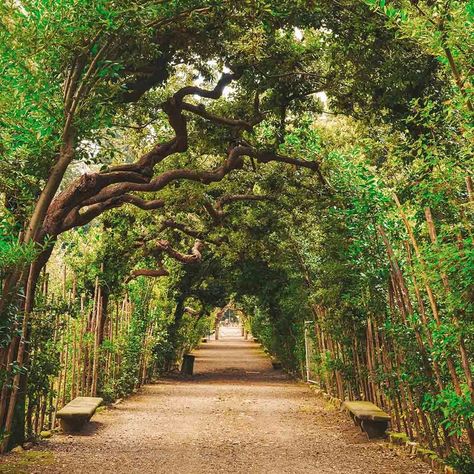 Fairytale Places, Italian Hotel, Vacation Adventures, Boboli Gardens, Backyard Decorating, Italian Gardens, Enchanted Gardens, Italian Places, Giorgio Vasari