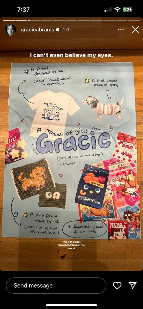 Gracie Abrams Journal, Japanese Snacks, Gracie Abrams, Mini Pouches, Letter D, I Cant Even, Fav Celebs, I Icon, Love You More