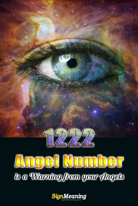 Angel Numbers222, 1222 Meaning, 0202 Angel Number, 1222 Angel Number, 02:02 Angel Number, Types Of Chameleons, 6:06 Angel Number Meaning, 20:02 Angel Number Meaning, Blade And Soul