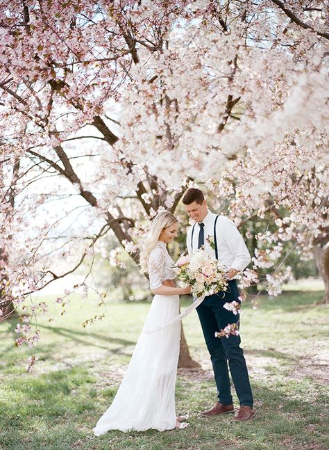 Stunning Cherry Blossom Wedding Photos under Blooming Spring Trees Bloom Photoshoot, Cherry Blossom Wedding Theme, Sakura Wedding, Spring Wedding Photography, Crop Top Wedding Dress, Orchard Wedding, Spring Engagement Photos, Groom Photography, Cherry Blossom Wedding