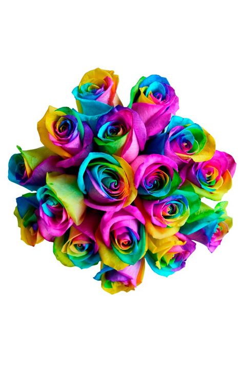 FGmarket.com | Flower Explosion LLC Gives Customers A Fantastic Variety of Gorgeous Florals #flowers #florist #floral #rainbow #freshflowers Rose In A Glass, Rainbow Roses, Rainbow Swirl, Rose Gift, Fresh Cut Flowers, Wedding Bridal Bouquets, Wholesale Flowers, Artificial Roses, Silk Roses