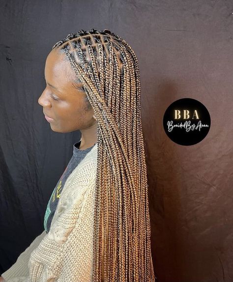 How to Mixed Colour Braids & 25 Cute Mixed Colour Braids Hairstyles Color 12 Box Braids, Blonde Colored Braids, Black Mixed With Blonde Braids, 2 Coloured Braids, Different Colour Braids For Black Women, Tri Color Box Braids, Blonde And Black Mixed Box Braids, Colour Mix Knotless Braids, Three Color Braids Black Women