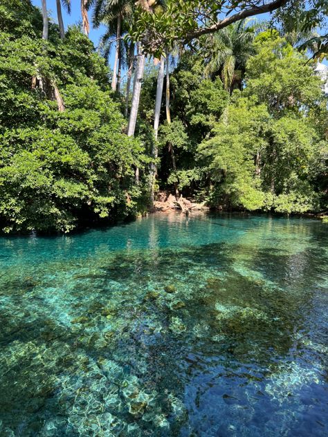 las estacas, méxico, río, naturaleza Vision Board Summer, El Salvador Travel, Vision Board Collage, Peinados Recogidos, I Want To Travel, Mexico Travel, Pretty Places, Summer 2024, Travel Destinations