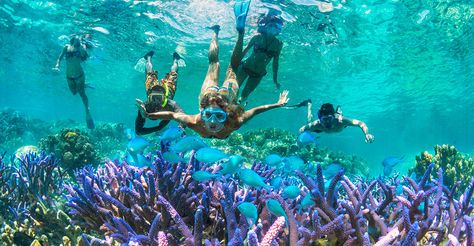 Why New Caledonia is the new overseas destination for Aussies: Snorkeling Bali, Kauai Snorkeling, Kauai Vacation, Orange Beach Al, Madeira Beach, Snorkeling Gear, Deep Sea Fishing, Orange Beach, Gulf Shores