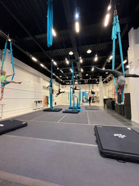 Beautiful Aerial Studio in Ventura, California, offering aerial classes and teacher trainings #aerialclasses #aerial Aerial Studio, Dance Room, Dance Rooms, Studio Website, Ventura California, Aerial Dance, Aerial Arts, Yoga School, Circus Art