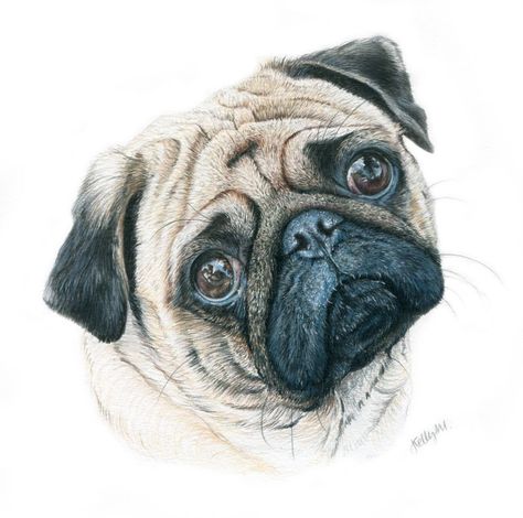 Pug Painting, Dog Portrait Drawing, Pet Drawings, Pug Tattoo, Pug Art, Puppy Art, Pug Puppies, A Pug, Watercolor Dog