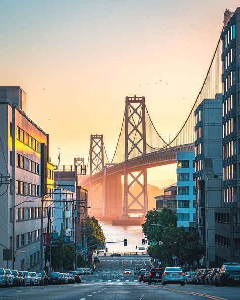 San Francisco Cityscape, San Francisco Sunrise, San Francisco Aesthetic Girl, San Francisco Aesthetic, San Francisco Pictures, San Francisco Bridge, San Francisco At Night, Usa San Francisco, Union Square San Francisco