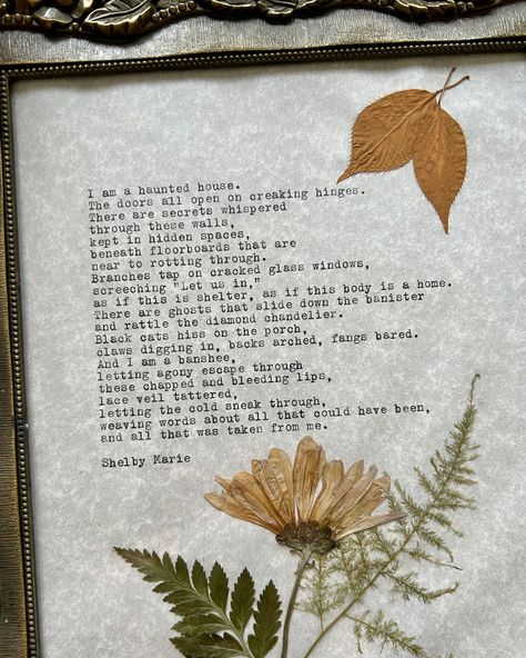 Which framed poem is your favourite? Find these framed poems, typewriter poems, signed copies of both of my poetry books, and poetry prints on my online shop 🥰 Each framed poem is one of a kind, hand typed on my antique Underwood typewriter from 1911, and made with so much love and magic 🕯️🍂 Check out my website to see the full collection! #framedpoetry #poetic #poetryloving #poems #ａｅｓｔｈｅｔｉｃ #explore #poetryreels #poetryquotes #quotesaboutlife #poetrylovers #poetrycommunity #writersofins... Poem Art, Underwood Typewriter, Framed Poem, Diamond Chandelier, Hidden Spaces, Hand Type, Poetry Books, Haunted House, Glass Window