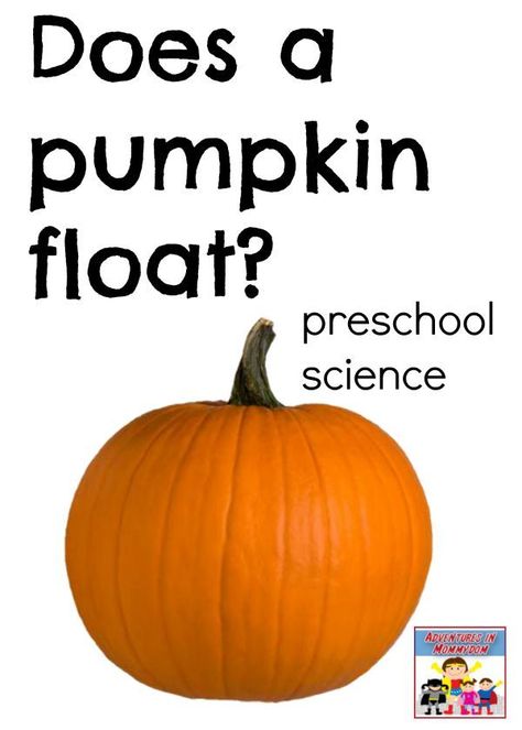 Does a pumpkin float? Pumpkin Sink Or Float Preschool, Pumpkin Science Preschool, Preschool Pumpkin, Homeschool Science Experiments, Pumpkin Science, Science Lessons Elementary, October Math, Fall Science, Sink Or Float