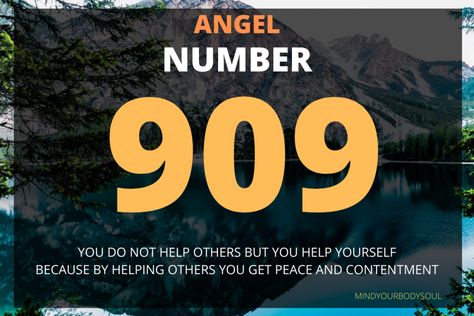 909 Angel Number Meaning, Never Quit Quotes, Quit Quotes, Spiritual Numbers, Lightworker Quotes, Angel Communication, Angel Number Meaning, Angel Signs, Listen To Your Heart