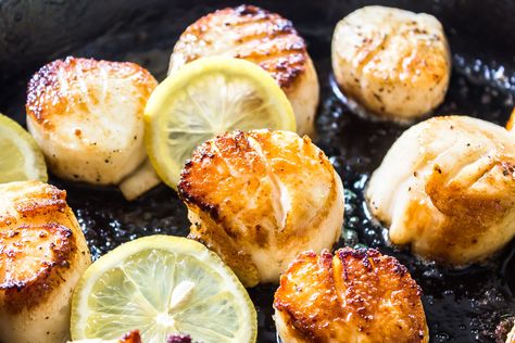 How to Cook Scallops Perfect Scallops, Cook Scallops, Easy Scallop Recipes, Grilled Tilapia, How To Cook Scallops, Dried Scallops, Pan Seared Scallops, Iron Skillet Recipes, Seared Scallops