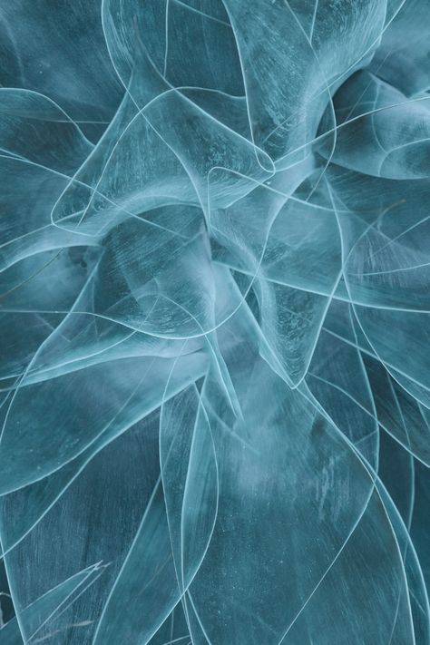 Using the Canon EOS R Mirrorless Camera for Multiple Exposure & ICM Photography – Doug Chinnery Photography Multiple Exposure Photography, Movement Photography, Canon Eos R, Photography Ideas At Home, Gopro Photography, Sensory Art, Camera Movements, Old Cameras, Leica Camera