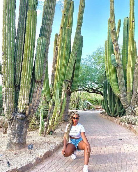 Where to See Saguaro Cactus in Phoenix, AZ | Hiking & Nature Phoenix Attractions, Arizona Attractions, Taliesin West, Arizona Biltmore, Distant Memory, Old Town Scottsdale, Camelback Mountain, Desert Botanical Garden, Relaxing Travel