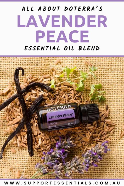 Lavender Peace Doterra, Peace Doterra, Doterra Lavender, Essential Oil Education, Using Essential Oils, Doterra Essential Oils, Essential Oil Blends, Doterra, Oil Blend