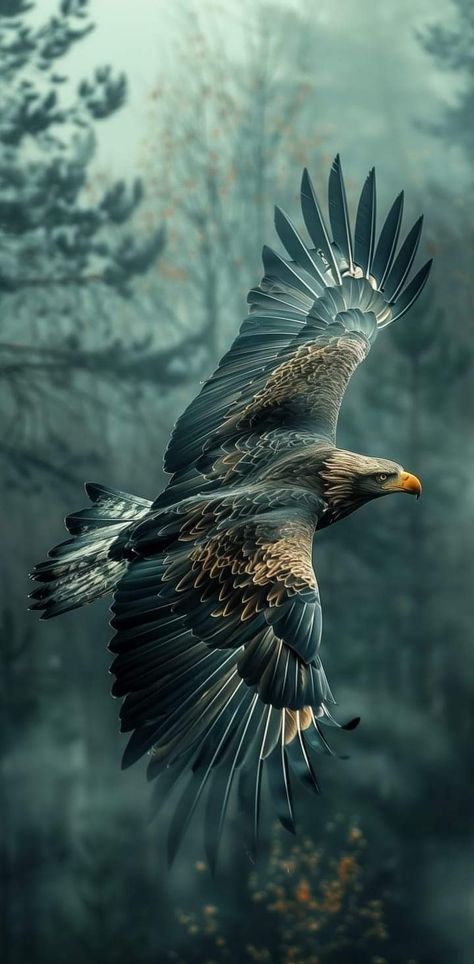 Photos Of Eagles, Eagle Flying Tattoo, Eagle Wallpaper Iphone, Wallpaper Eagle, Animal Wallpaper Iphone, Eagle Photo, Foto Bawah Air, Birds Photography Nature, Wild Animal Wallpaper