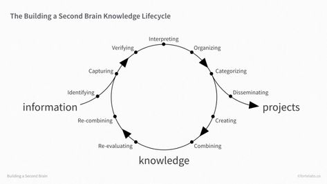 A Complete Guide to Tagging for Personal Knowledge Management | Praxis Knowledge Management System, Value Proposition Canvas, Thinking Maps, Second Brain, Design Thinking Process, Systems Design, Systems Thinking, Self Organization, Organization Skills