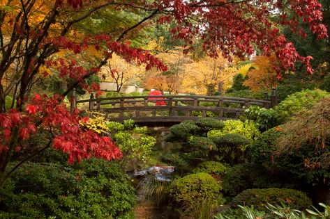 Portland Garden, Northwest Garden, Marine Landscape, Portland Japanese Garden, Japanese Garden Landscape, Japanese Garden Design, Asian Garden, Gardening Techniques, Landscape Elements