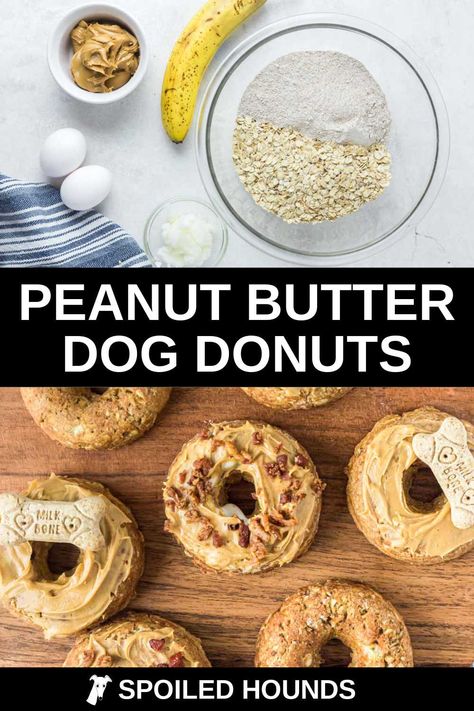 Homemade Peanut Butter Dog Donuts made with banana, whole wheat flour, oats, and eggs. Get the easy recipe and find out how to make the best peanut butter donuts for dogs with simple ingredients. These doggy donuts have healthy and wholesome ingredients with no preservatives. Dog doughnuts are great DIY treats to make for dog birthday parties. #dogtreats #homemadedogtreats #diydogtreats #dogdonuts Donuts For Dogs, Dog Birthday Parties, Sweet Potato Peanut Butter, Pet Bakery, Donut Batter, Dog Treats Homemade Easy, Easy Dog Treat Recipes, Dog Biscuit Recipes, Easy Dog Treats