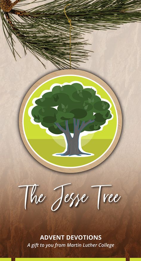 The Jesse Tree: Children’s Bible Stories – Publications Jesus Story, Jesse Tree Advent, Bible Story Book, Advent Devotionals, Lead Teacher, Jesse Tree, Early Childhood Learning, Classroom Christmas, Jesus Stories