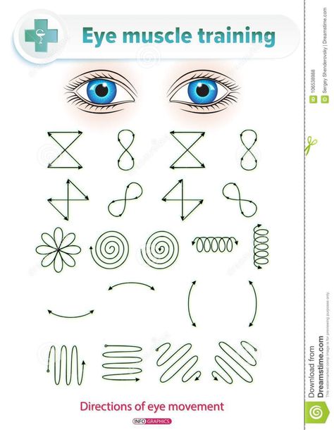 Eye Muscle Training stock vector. Illustration of examining - 106538988 Eye Muscle Exercises, Lazy Eye Exercises, Muscles Illustration, Plan Lector, Eye Muscles, Preschool Skills, Eyes Care, Lazy Eye, Teach Preschool