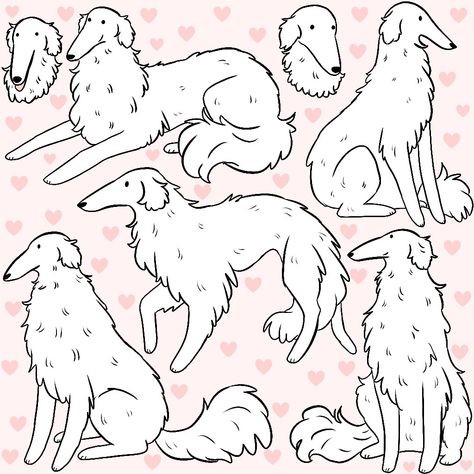 Borzoi Cute, Big Dog Drawing, Borzoi Tattoo, Borzoi Funny, Borzoi Doodle, Dog Cute Drawing, Borzoi Dog Drawing, Borzoi Drawing, Borzoi Dog Art