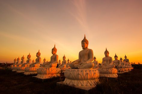 Buddha Landscape, Meditation Photography, Thailand Buddha, Buddhist Texts, Temple Thailand, Siddhartha Gautama, Word Press, Temple Photography, Buddha Temple