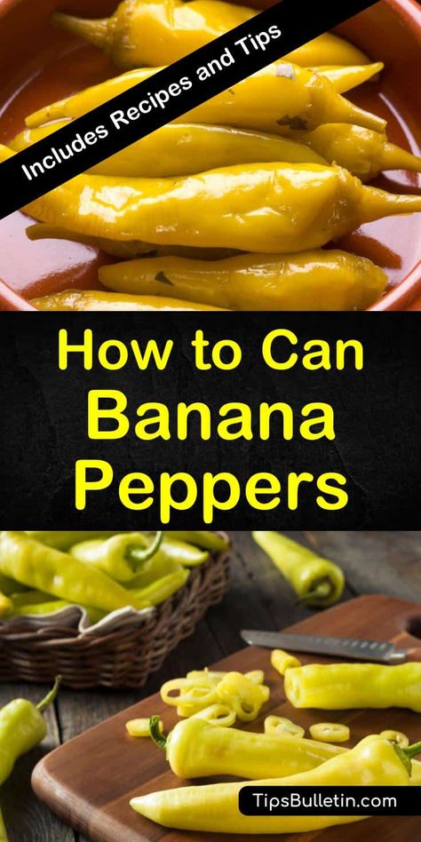 Pickled Pepper Recipe, Canning Banana Peppers, Recipes With Banana Peppers, Sweet Banana Peppers, Canning Peppers, Pickled Banana Peppers, Canning Fruit, Canning Pickles, Home Canning Recipes