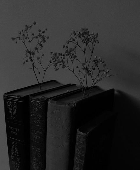 Yoongicore Wallpaper, Darkest Academia Aesthetic, Grey Academia, Black And White Books, Dark Black Wallpaper, Dark Books, Cartoon Wallpaper Hd, Black And White Theme, Gray Aesthetic