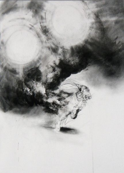 "Rabbit on Fire Under Two Suns" Graphite and Charcoal on Paper, David Bonagurio Two Suns, Graphite Drawings, On Fire, Antonio Mora Artwork, Abstract Artwork, Drawings, Art