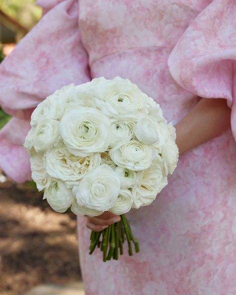 Katherine's gorgeous white ranunculus bouquet with her stunning pink wedding gown. The perfect combination

#adelaidewedding #adelaideweddings #melbournewedding #melbourneweddings #bridalfashion #bridalbouquet #pinkweddingdress #weddingflowers #modernbride #modernflowers White Ranunculus Wedding Bouquet, Ranaculas Bouquet, Ranuncula Bouquet, White Ranunculus Bouquet, Ranunculus Bridal Bouquet, Pink Wedding Gown, Ranunculus Wedding Bouquet, Ranunculus Wedding, Pink Wedding Gowns